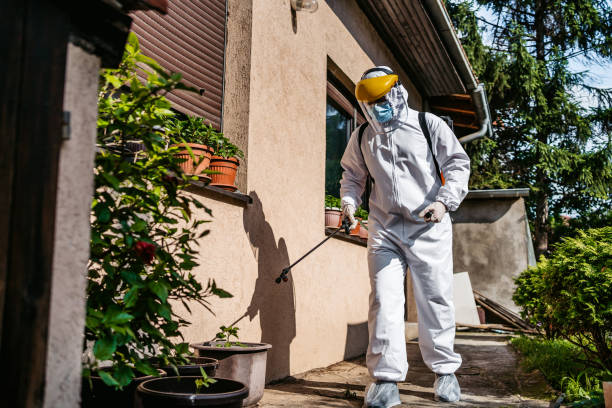 Insect Control in Suny Oswego, NY