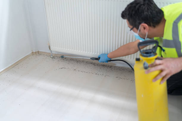 Best Pest Prevention Services  in Su Oswego, NY