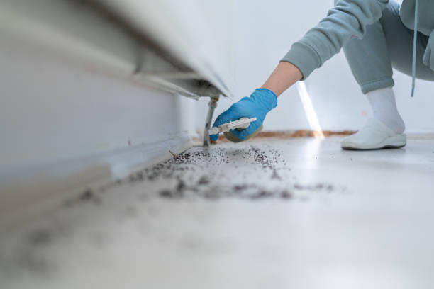 Best Best Pest Control Companies  in Su Oswego, NY
